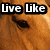 six showing horse eyes with text overlays and two variations of 'Livi' in different backgrounds