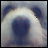 iconhell_prettydog