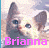 A pixelated image of a cat's face with text reading 'Brianna' in pink and red lettering.