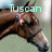 A horse's head in profile with a bridle, shown across where text labels change from 'Tuscan' to 'Prince' and then to '43'