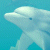 Pixelated dolphin head in profile against light blue background, with green text 'Original Icons .com' on dark green to the right