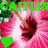 Animated pink flower with two dark centers, green text "KAITLYN" above and a green heart in the corner.