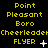 Yellow pixelated text on black background cycles through three states with varying star symbols and dots beneath 'FLYER' text.