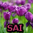 Pixelated image of purple flowers with green foliage and a black rectangular box containing pink text 'SAI' at the bottom center.