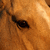A close-up of a brown horse's eye with visible eyelashes and fur texture, transitioning from open to closed.