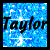 Blue pixelated background with white speckles and horizontal lines, black text 'Taylor' in cursive font across the center.