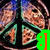 Pixelated image of two figures with brown hair and green clothing, one holding a pizza slice, against dark background with bright green and orange elements.