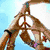 Six distinct peace symbol designs arranged in a , featuring hands forming symbols, floral patterns, and text elements