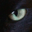 A pixelated close-up of a cat's eye with a greenish-yellow iris and black pupil, next to the text 'TRY me.' in light green pixelated font on a black background.