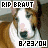 iconhell_bluexaries_braut