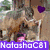 Animated buddy icon showing a dog, pony, and sheep with text overlays reading 'NalashaC81 loves ponies and dogs' in purple and pink fonts.