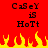 Red background with yellow-orange flames at the bottom, displaying 'CaSeY is HoTt' text in black pixelated font across two identical side-by-side sections.
