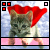 Animated contact sheet of a kitten wearing a red cape against a snowy background with text changing across frames.