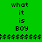 Green background with black text reading 'what it is BOY' repeated across three , separated by horizontal lines of dollar signs