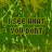Green camouflage-patterned background with repeated text "I SEE WHAT YOU DON'T" in yellow, scattered white star-like shapes, and subtle pixelated variations across frames.