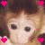 A 512x256 contact sheet of two animated frames showing a cartoon monkey with brown hair and pink hearts, each frame displaying slightly different facial expressions.