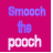 Pixelated text on a solid magenta background reads "Smoosh the pooch" with blue and white lettering.