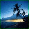 Four- shows a tropical beach scene with palm trees silhouetted against a blue sky and yellow horizon, with text labels changing