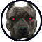 Two circular frames show a dog's face with red eyes; left frame has open eyes, right frame has closed eyes.