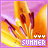 identical pixelated flower images with 'SUMMER' text and four white dots above it, set against a purple background