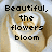 A four- shows a beige rose with white highlights; the top-left and top-right display text while bottom-left is textless