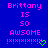 Blue background with pink pixelated text reading 'Brittany is so awesome !x!x!x!x!x!' and a green heart symbol.