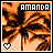 Pixelated orange-toned palm tree scene with 'AMANDA' text and heart symbol, two variations of background coloration.