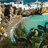 Pixelated static image shows a coastal scene with rocky cliffs, turquoise water, and green vegetation under a blue sky.