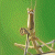 A pixelated image of a golden sword with a brown hilt against a green background, showing partial details of the blade and guard.