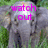 A pixelated image of a gray elephant with green grass background, displaying pink text overlays in three sequential states.