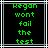 Green pixelated text on black background with white and gray lines, displaying 'Regan wont fail the test' in two identical side-by-side
