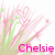 Pixelated pink and green floral design with pink text reading 'Chelsie' at the bottom right.