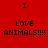 Four quadrants display identical text on solid backgrounds with no visible animation changes.