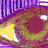 Four 48x48 pixel animated frames arranged in a contact sheet showing swirling eye-like shapes with color variations and background patterns.