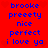 Red background with blue pixelated text reading 'brooke preeety nice perfect i love ya' repeated twice in vertical