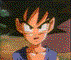 Four Dragon Ball Z character portraits in a : Goku, Super Saiyan Goku, Gohan, and Vegeta with long black hair