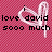 Pixelated text reads 'i love david sooo much' over a pink checkered background with a white heart outline.