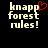 Pixelated text 'knapp forest rules!' in light beige on black background with red heart symbol above first word.