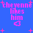 Pixelated pink text on blue background reads 'cheyenne likes him' with heart and star symbols, showing animation changes in text and star positions.