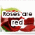 Four- of red roses with green leaves, each containing distinct text in white speech bubbles over the flowers