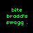 Green pixelated text 'bite bradd's swagg .' on four distinct background colors: black, teal gradient, cyan, and dark teal.