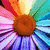 A pixelated flower with a brown center and multicolored petals in rainbow hues, displayed across four showing sequential animation frames