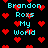 Pixelated cyan text 'Brandon Roxs My World' repeats across a black background with scattered red heart symbols.