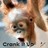 Pixelated close-up of a light brown dog's face with dark eyes and nose, partially obscured by pixelation.