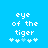 Pixelated text 'eye of the tiger' in white on bright blue background with five snowflake-like symbols below, two versions differ by symbol color.