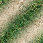 Four- showing a grassy area with a dirt path transitioning to cracked earth, with the bottom-right blank