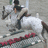 A pixelated image of a person riding a white horse with red accents, accompanied by red text on black backgrounds.