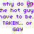 Pixelated purple text on white background with pink heart symbol replacing 'you' in 'why do you why do all the hot guys have to be taken... or taken... or gay'
