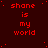 Red pixelated text 'shane is my world' repeated across a dark red background with scattered white dots, forming a -like pattern
