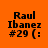 Four identical orange backgrounds with black text "Raul Ibanez #29 (:" and green rectangular overlays in different positions.